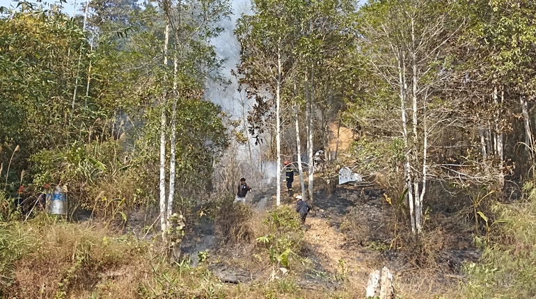 Đốt lửa gây cháy vườn rừng tại phường Phùng Chí Kiên