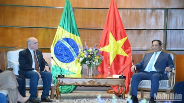 Không ngừng vun đắp, đóng góp hết mình cho quan hệ Việt Nam-Brazil
