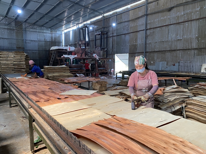 Chợ Mới thu hút đầu tư công nghiệp chế biến gỗ ảnh 1
